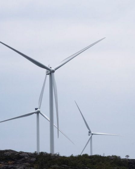 Nouvelle enquête : les Norvégiens sont devenus plus favorables aux projets éoliens terrestres - 13