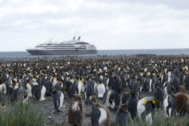 Quand partir faire une croisière en antarctique ? - 28