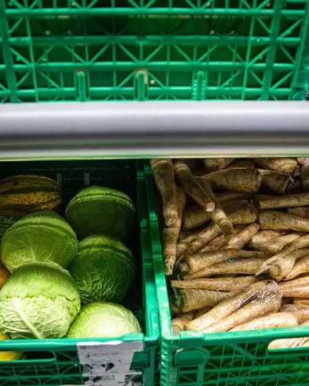 La politique agricole doit être guidée par ce que nous pouvons réellement produire - 10
