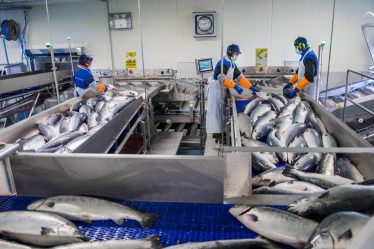 La taxe sur le saumon est bien plus compliquée dans la réalité que dans les manuels - 20