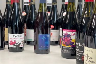 Test du vin le plus frais de l'année – Beaujolais Nouveau 2022 - 16