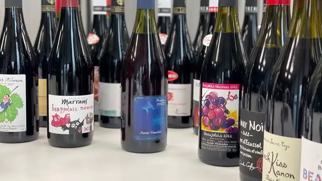 Test du vin le plus frais de l'année – Beaujolais Nouveau 2022 4 Test du vin le plus frais de l'année – Beaujolais Nouveau 2022 - 3