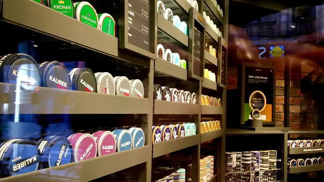 La Suède n'acceptera pas les propositions de l'UE qui doublent le prix du snus - 3