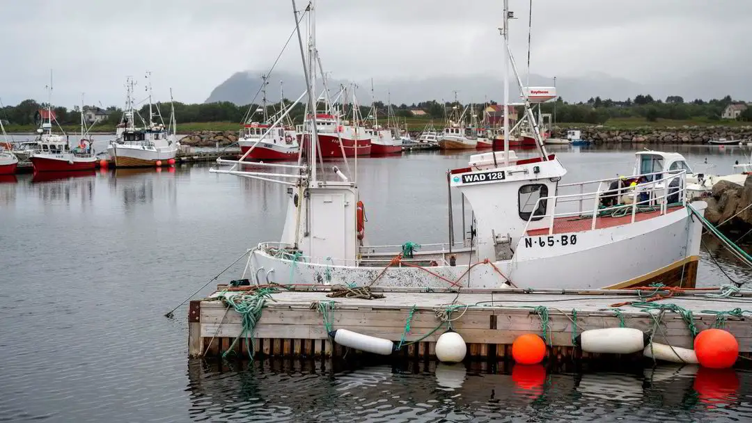 Il n'y a pas de base pour l'impôt sur les intérêts des ressources dans la pêche 4 Il n'y a pas de base pour l'impôt sur les intérêts des ressources dans la pêche - 3