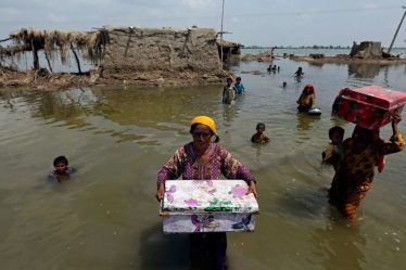 La compensation climatique à l'ordre du jour de la COP27 - 18