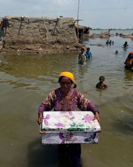 La compensation climatique à l'ordre du jour de la COP27 - 1