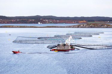Les plus grandes entreprises norvégiennes de produits de la mer ont versé 7,2 milliards de NOK de dividendes jusqu'à présent en 2022 - 23