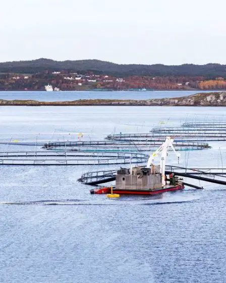 Les plus grandes entreprises norvégiennes de produits de la mer ont versé 7,2 milliards de NOK de dividendes jusqu'à présent en 2022 - 22