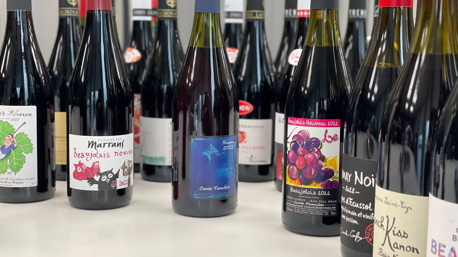 Test du vin le plus frais de l'année – Beaujolais Nouveau 2022 - 9