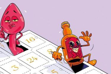 Avant, les calendriers de Noël étaient réservés aux enfants. Maintenant les adultes se gavent de cartons et de petits cadeaux, de lubrifiant et d'alcool - 20