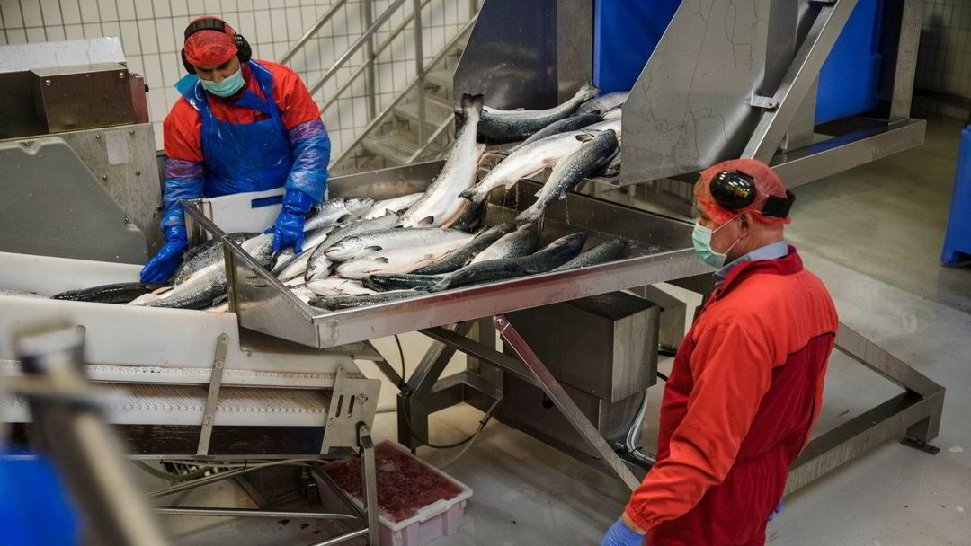 Est-il raisonnable que les abattoirs de poisson rouge aient des conditions-cadres plus favorables que les abattoirs de viande rouge ? 4 Est-il raisonnable que les abattoirs de poisson rouge aient des conditions-cadres plus favorables que les abattoirs de viande rouge ? - 3