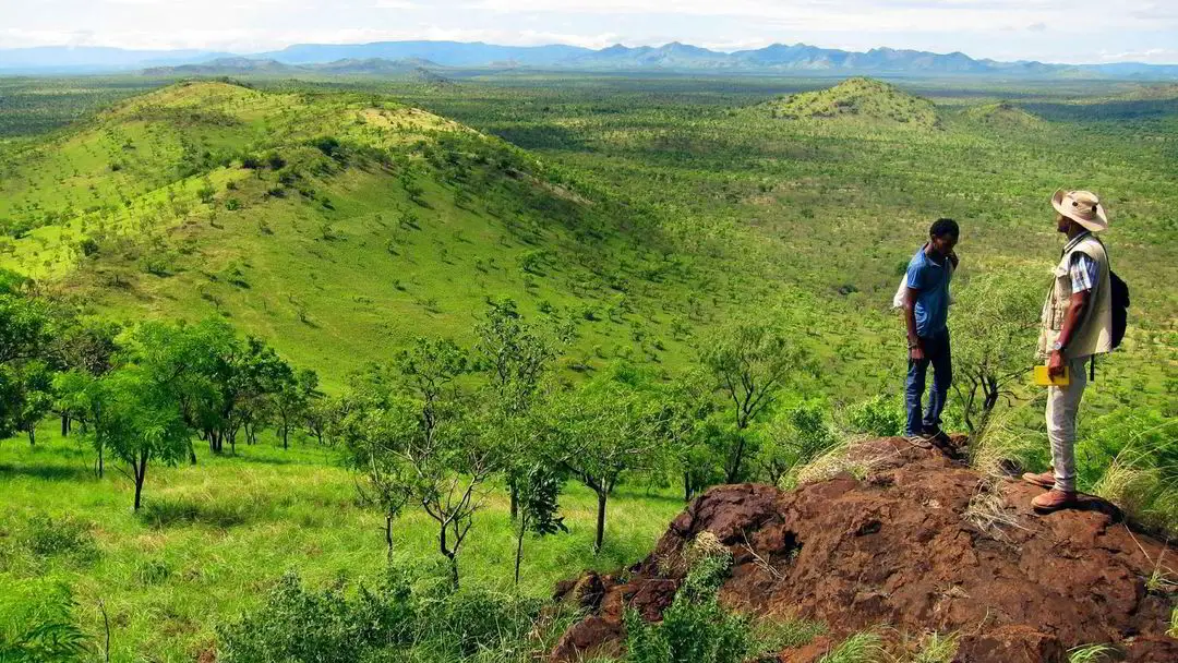 Akobo Minerals contracte des "prêts d'or" de 88 millions avec un taux d'intérêt de 22% 4 Akobo Minerals contracte des "prêts d'or" de 88 millions avec un taux d'intérêt de 22% - 3