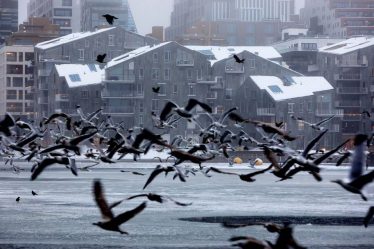 Eiendom Norge s'attend à ce que les prix de l'immobilier chutent de 6% à Oslo l'année prochaine - 16