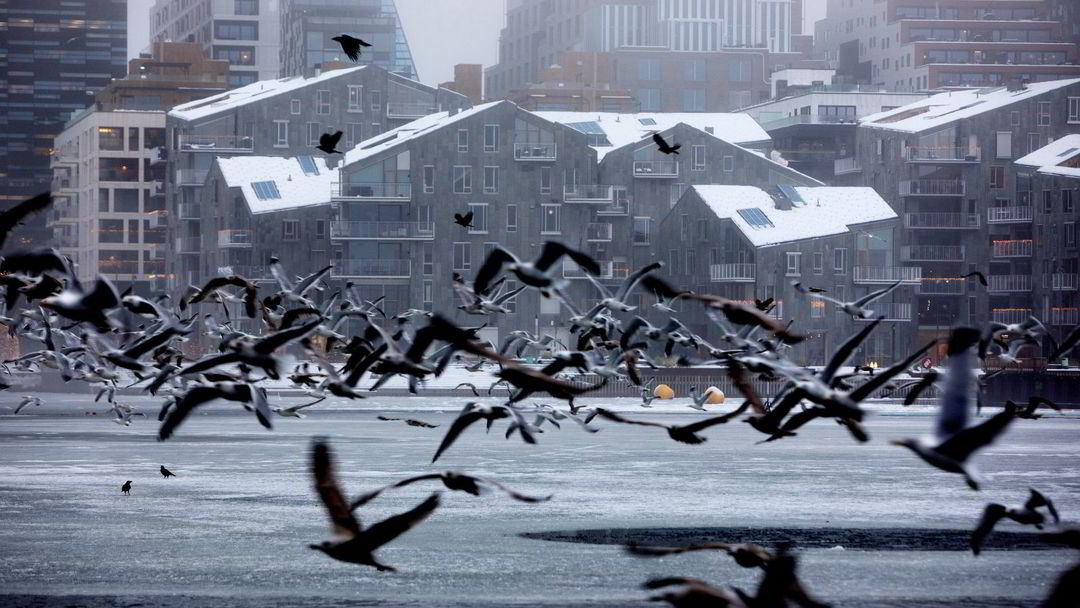 Eiendom Norge s'attend à ce que les prix de l'immobilier chutent de 6% à Oslo l'année prochaine 4 Eiendom Norge s'attend à ce que les prix de l'immobilier chutent de 6% à Oslo l'année prochaine - 3