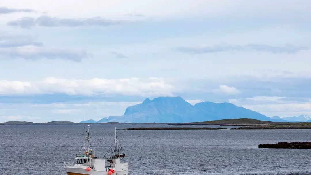 Rapport : La valeur du poisson norvégien a augmenté de 60 % en 20 ans - 3