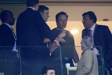 Les gens ont parlé - Twitter veut que Musk quitte son poste de patron - 16