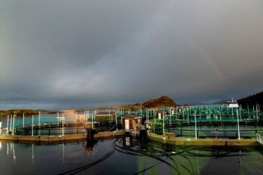 Les investisseurs craignaient de mauvaises nouvelles, mais pas si mauvaises - 20