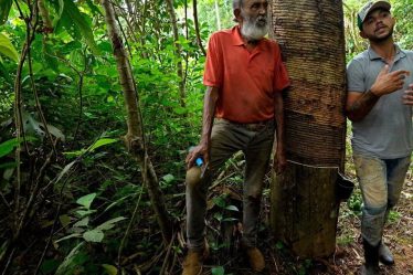 Lula promet un arrêt complet de la déforestation - 21