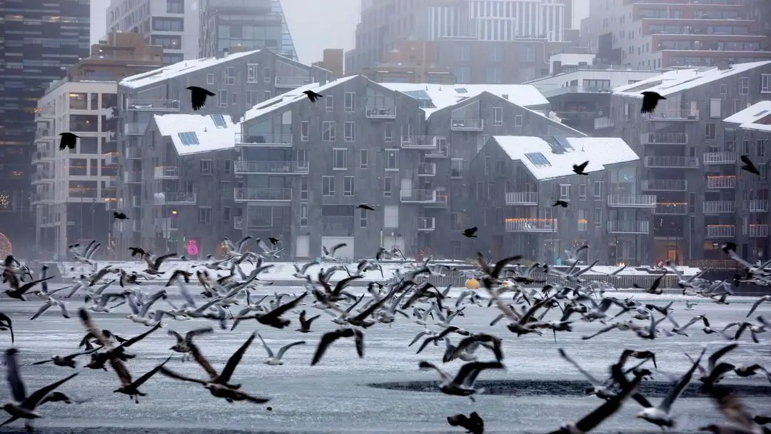 Prévisions de Statistics Norway : un pic de taux d'intérêt de 3 % au début de 2023 - 3