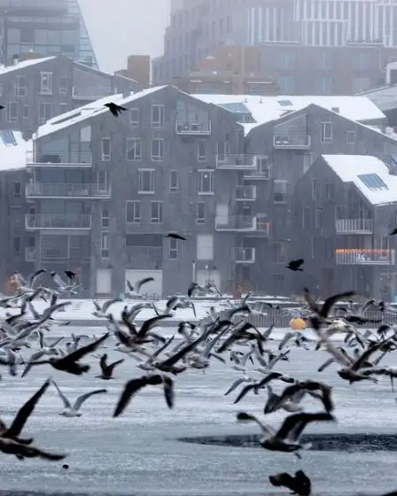 Les prix des logements à Oslo ont chuté de 1,3% en novembre – la plus forte baisse depuis la crise financière 42 Les prix des logements à Oslo ont chuté de 1,3% en novembre – la plus forte baisse depuis la crise financière - 41