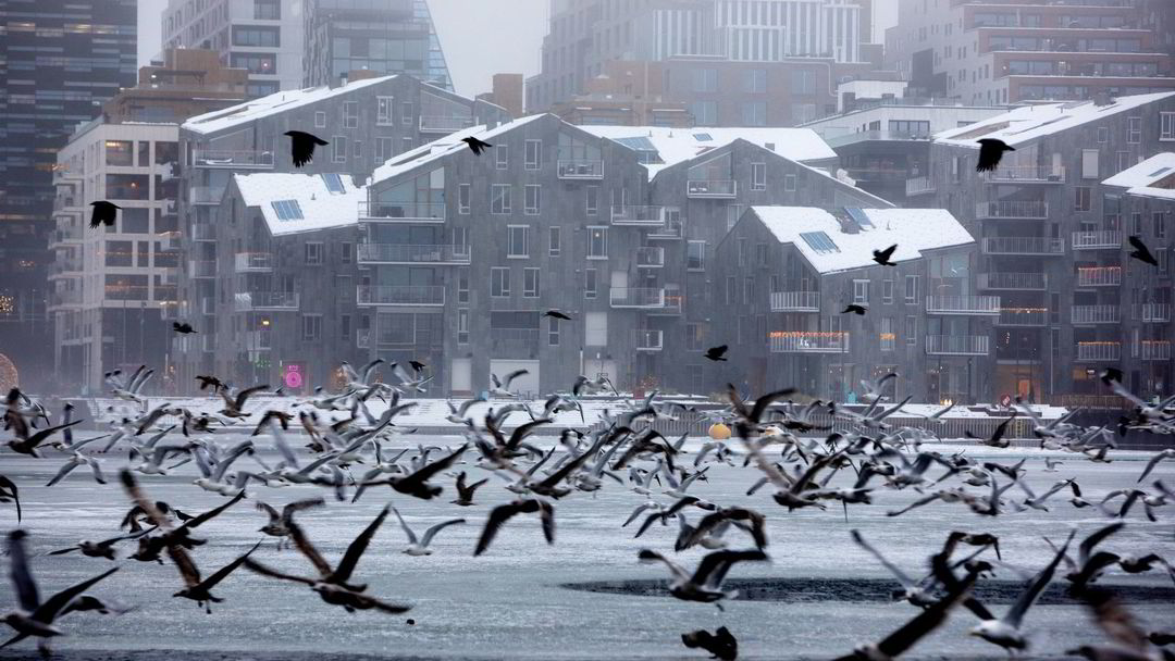 Les prix des logements à Oslo ont chuté de 1,3% en novembre – la plus forte baisse depuis la crise financière 4 Les prix des logements à Oslo ont chuté de 1,3% en novembre – la plus forte baisse depuis la crise financière - 3