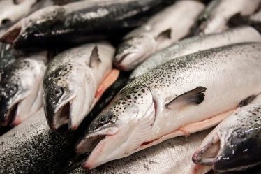 La taxe sur le saumon proposée est illégale - 20