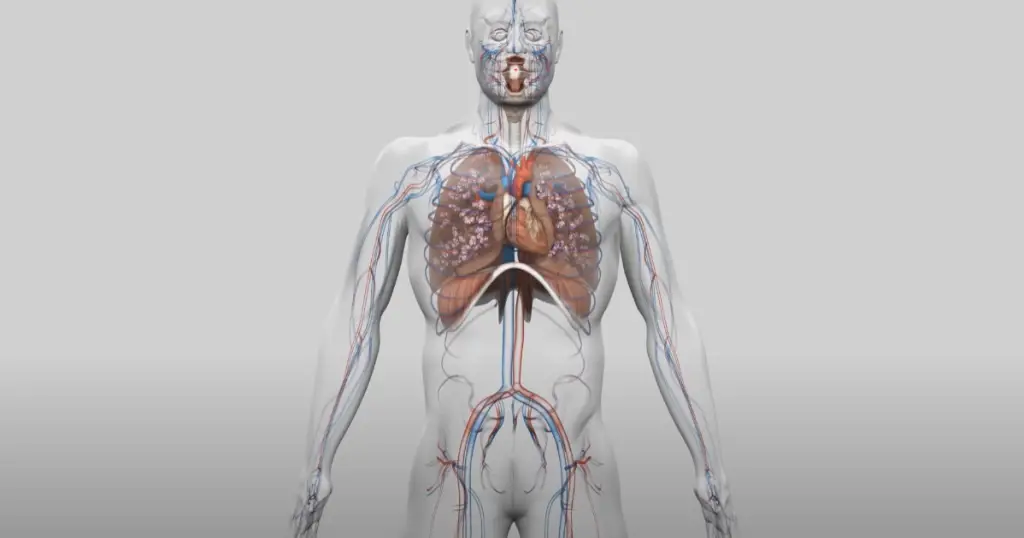 La respiration holotropique : une approche thérapeutique innovante 4 La respiration holotropique : une approche thérapeutique innovante - 3