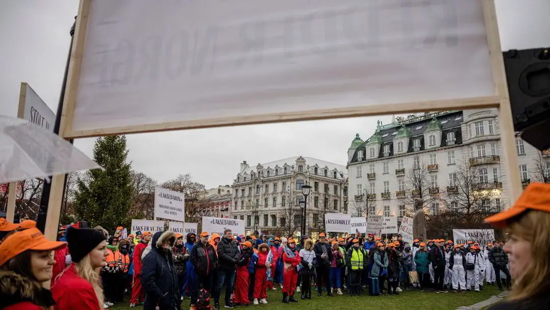 Vedum a reçu plus de 300 réponses de salmon : - Toute la filière est solidaire 4 Vedum a reçu plus de 300 réponses de salmon : - Toute la filière est solidaire - 3