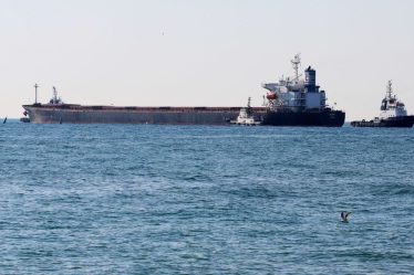 Un cargo s'est échoué dans le canal de Suez - 16