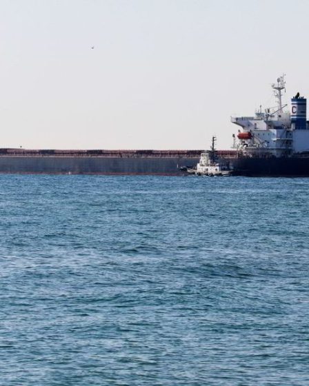 Un cargo s'est échoué dans le canal de Suez - 1