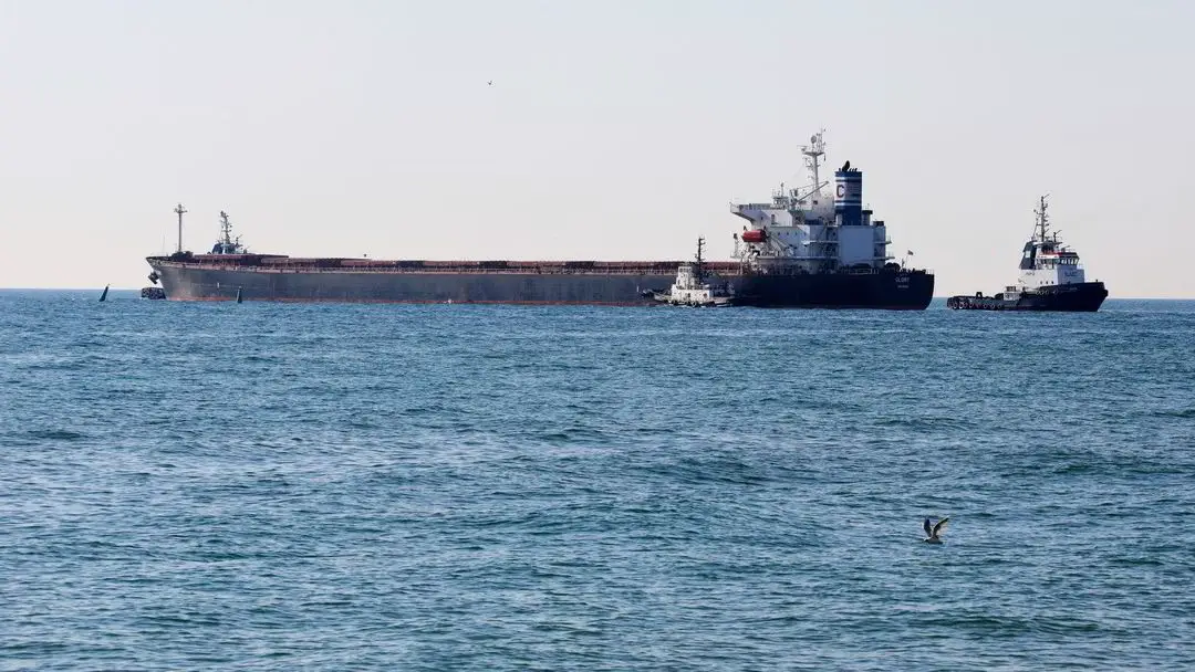 Un cargo s'est échoué dans le canal de Suez - 3