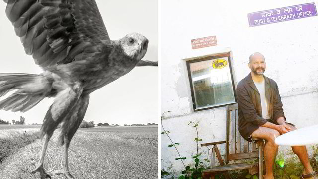 Entretien avec un photographe d'art expérimental Stephen Gill. (+) - 3