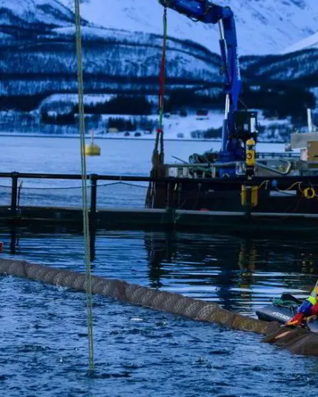 Un gros ménage s'impose avec la taxe sur le saumon - 14