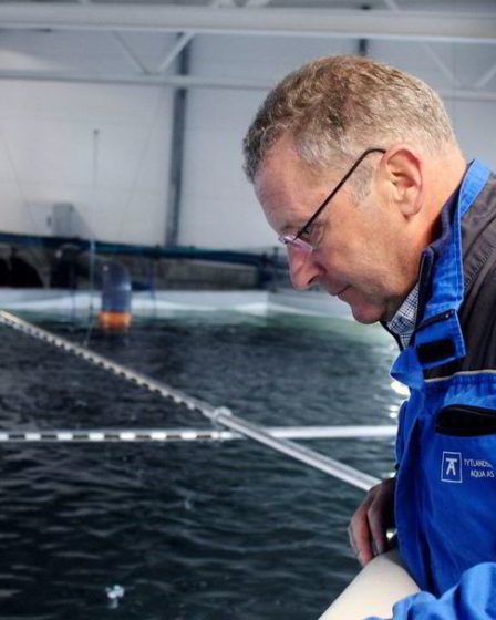 Grieg Seafood annonce un résultat record - le bénéfice d'exploitation s'est terminé à 1,7 milliard de NOK l'année dernière - 25