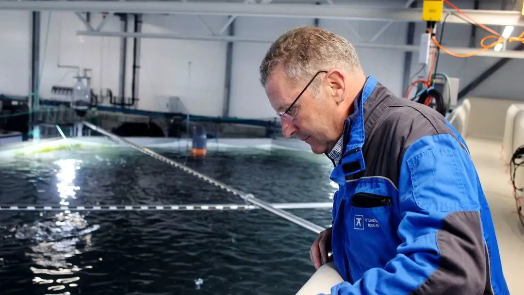 Grieg Seafood enregistre un bénéfice record l'année dernière - le bénéfice d'exploitation s'est terminé à 1,7 milliard de NOK 4 Grieg Seafood enregistre un bénéfice record l'année dernière - le bénéfice d'exploitation s'est terminé à 1,7 milliard de NOK - 3
