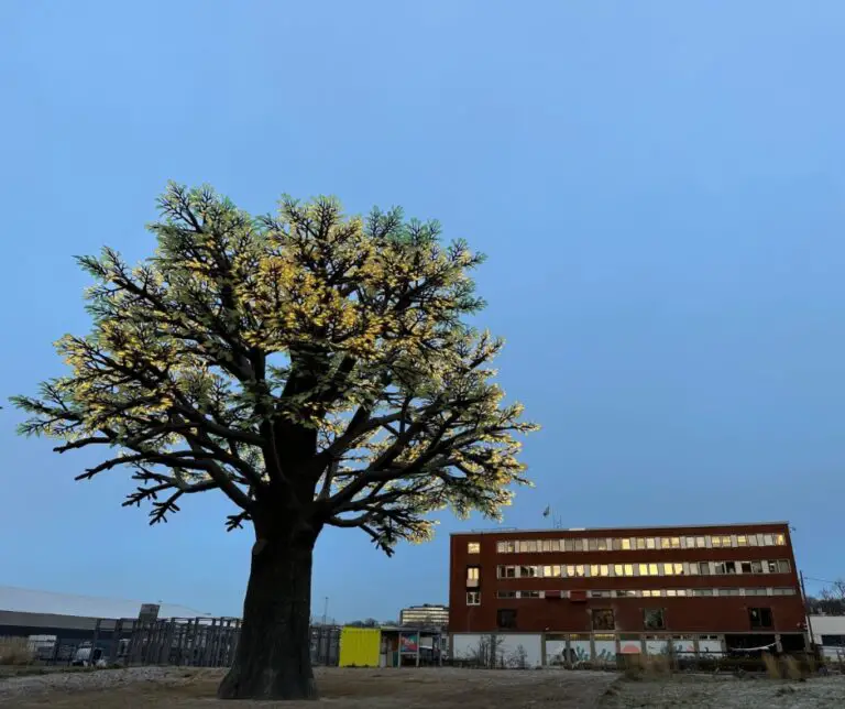 L'arbre d'Oslo en plein jour.