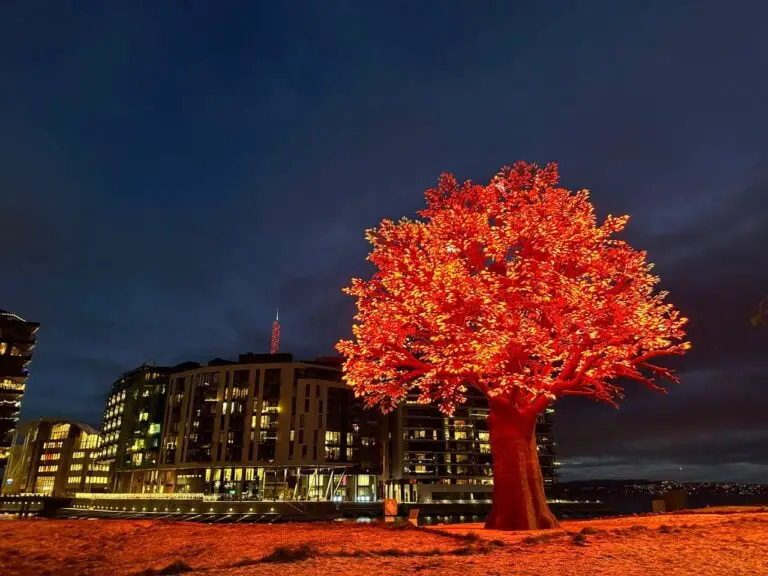 Lumières LED rouges sur le projet artistique The Oslo Tree.