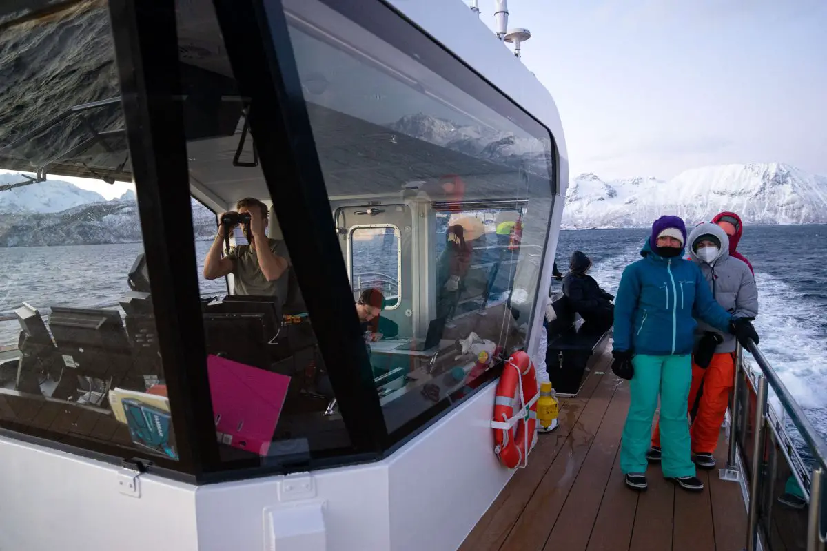 Passagers observant les baleines à bord du Brim Explorer