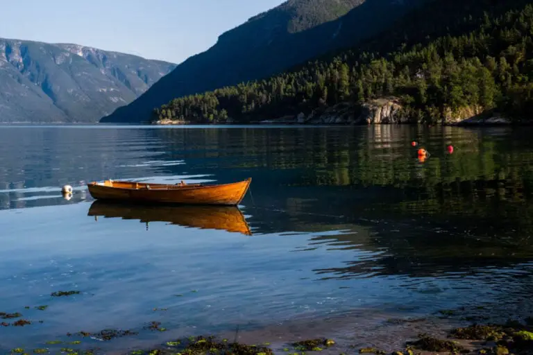 Un vieux bateau de pêche dans le Lustrafjord.