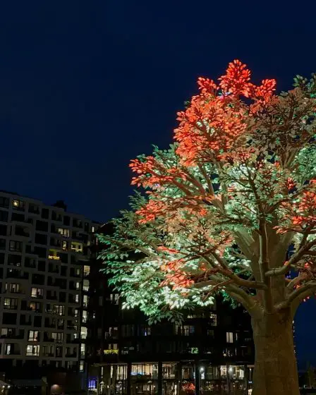 En images : L'arbre d'Oslo - 64