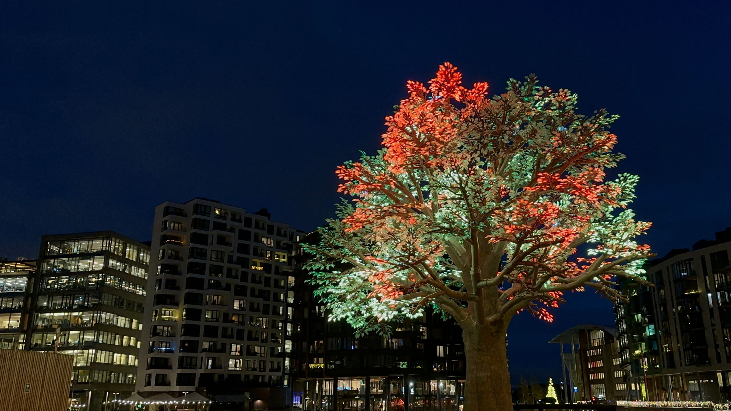 En images : L'arbre d'Oslo - 31