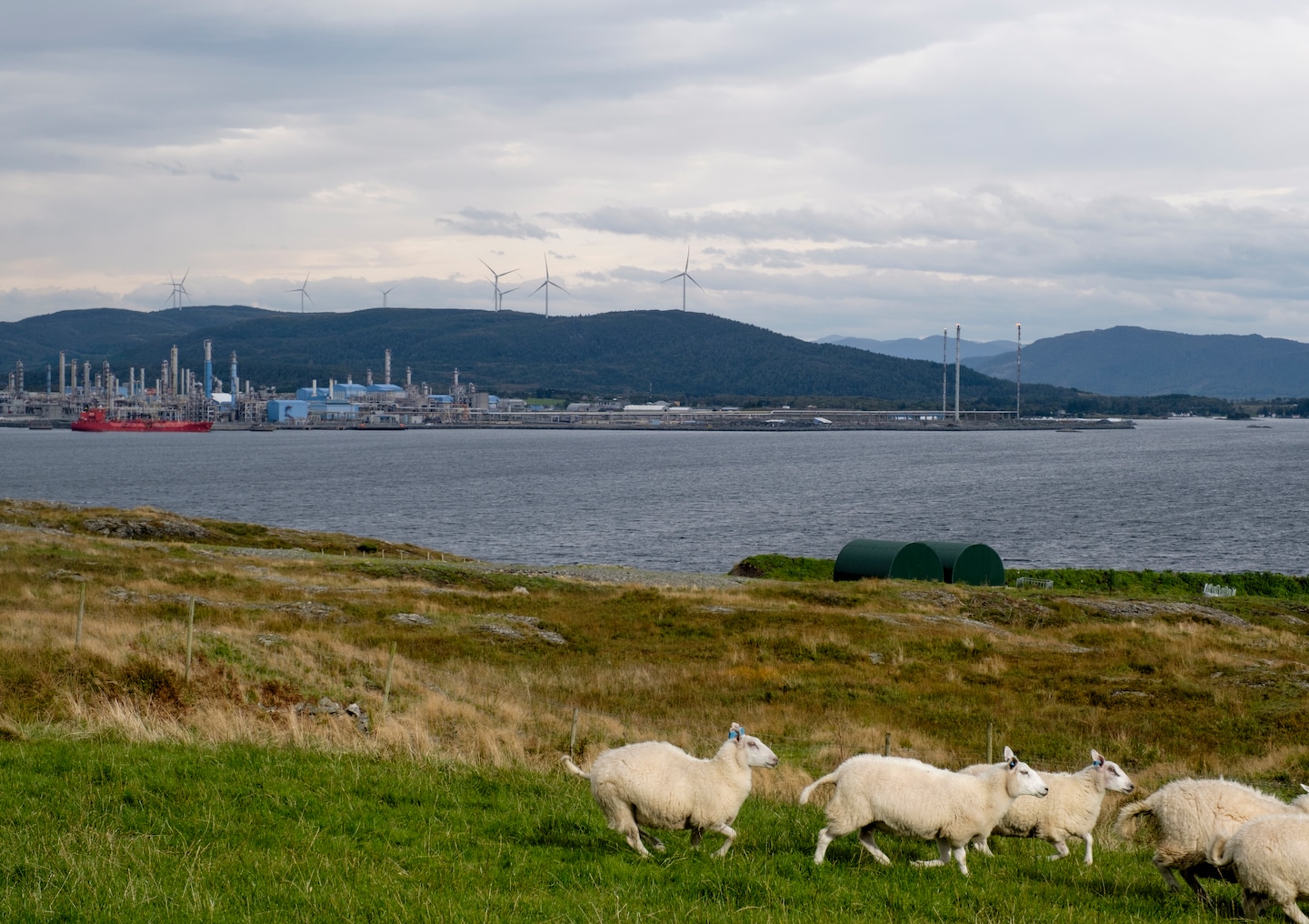 La Norvège, désormais premier fournisseur de gaz en Europe, accusée de profiter de la guerre en Ukraine 4 La Norvège, désormais premier fournisseur de gaz en Europe, accusée de profiter de la guerre en Ukraine - 3