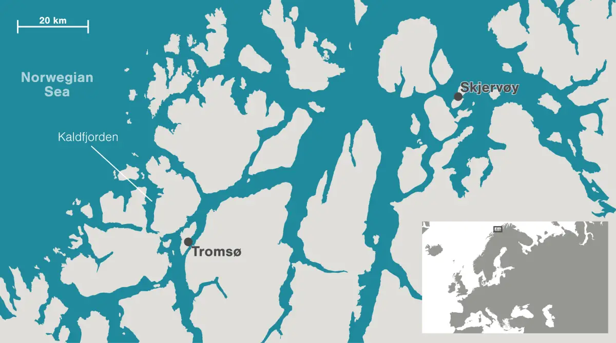 En Norvège, les touristes venu observer les baleines génèrent des problèmes 12 Carte de Tromsø et de ses environs