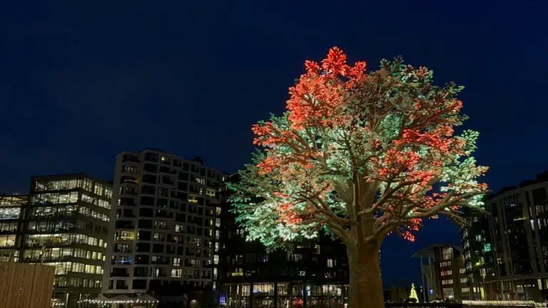 L'arbre d'Oslo illuminé dans une soirée d'hiver.