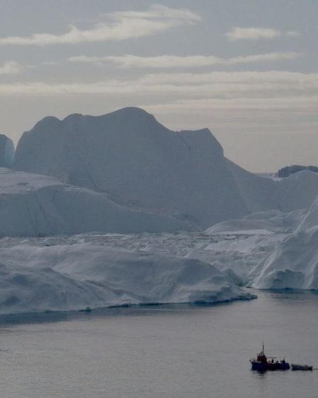 La Norvège découvre des ressources minérales "substantielles" dans ses fonds marins 29 La Norvège découvre des ressources minérales "substantielles" dans ses fonds marins - 28