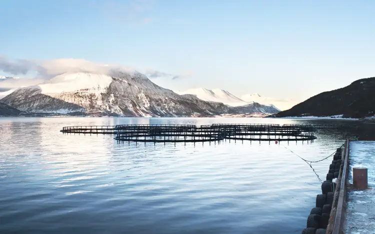 Réseau criminel soupçonné de fraude fiscale dans la location de main-d'œuvre en Norvège et en Lituanie démantelé | Eurojust 7 ferme piscicole du lac scenery