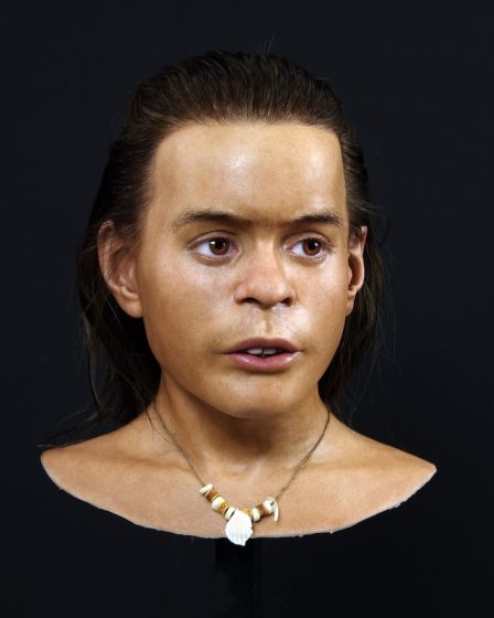 Une reconstitution montre un adolescent mort en Norvège il y a 8 300 ans 31 Une reconstitution montre un adolescent mort en Norvège il y a 8 300 ans - 30