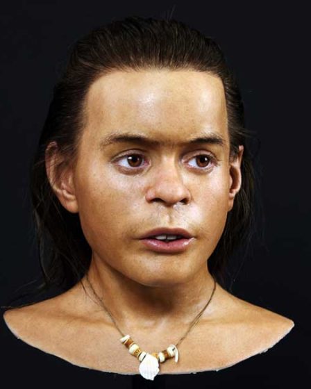 Rencontrez Vistegutten : L'IA ressuscite le visage d'un adolescent de l'âge de pierre trouvé en Norvège - 10