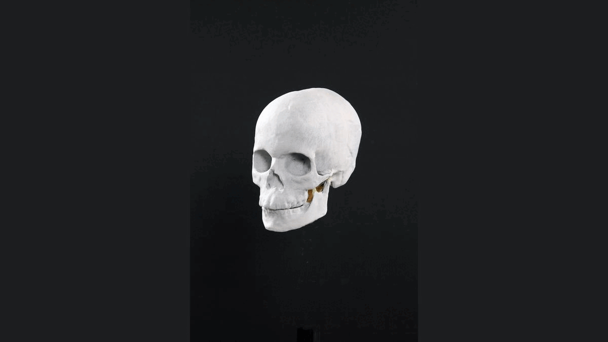 Une reconstitution étonnante révèle un "garçon solitaire" au crâne déformé, mort dans une grotte en Norvège il y a 8 300 ans. 10 Une reconstitution étonnante révèle un "garçon solitaire" au crâne déformé, mort dans une grotte en Norvège il y a 8 300 ans. - 9