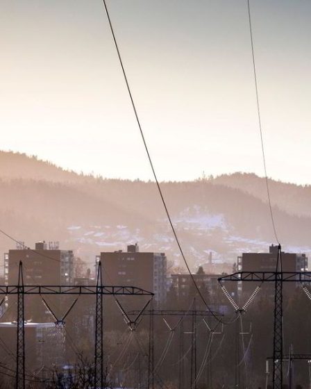 Une proposition de soutien à l'électricité basée sur des tarifs horaires - 19